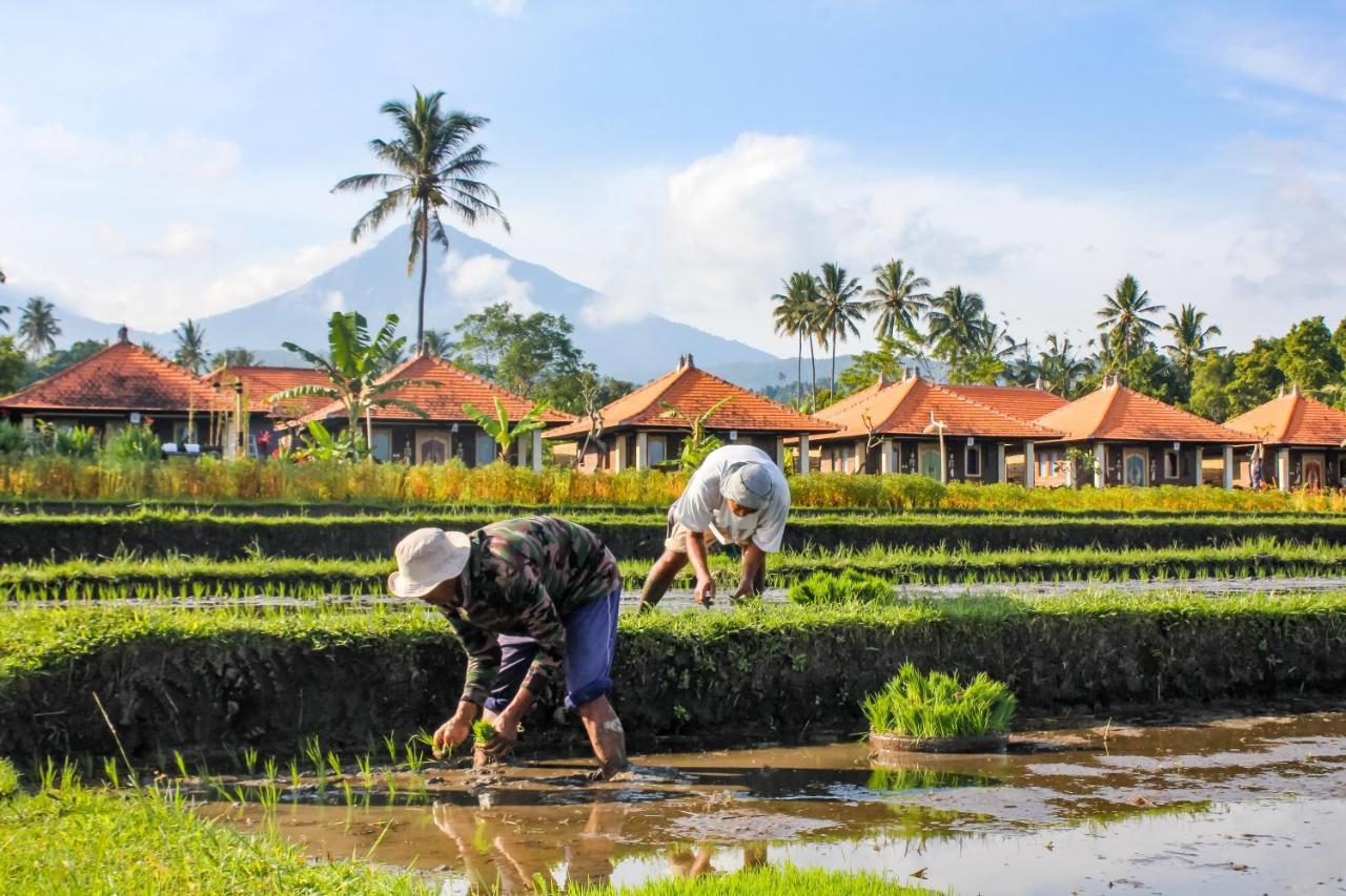 Villa Sri Lestari Banyuatis Munduk Exterior foto