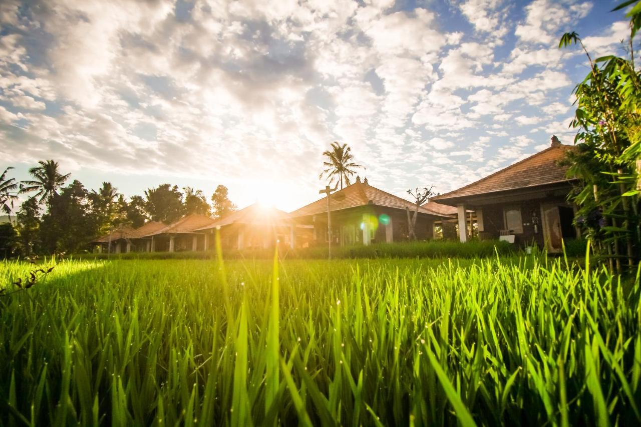 Villa Sri Lestari Banyuatis Munduk Exterior foto